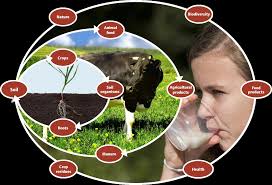 Agriculture and biodiversity: a better balance benefits both