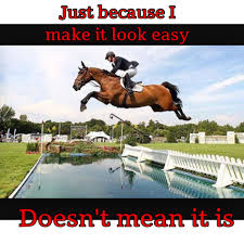The Definition Of Equestrian For All Of The People Who Think It S Not A Sport At Least We Know It Is Equestrian Jumping Horses Show Jumping
