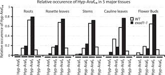 What are groups of organisms have a cell wall? Identification And Evolution Of A Plant Cell Wall Specific Glycoprotein Glycosyl Transferase Exad Scientific Reports