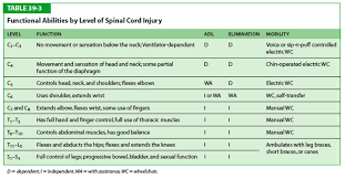 table 39 3 functional abilities by level of spinal cord