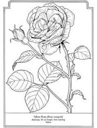 The first image is that of a cute flower that will instantly bring a smile on your kid's face. Welcome To Dover Publications The Language Of Flowers Coloring Book Flower Embroidery Designs Pattern Coloring Pages Coloring Pages