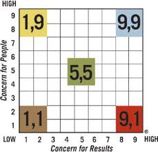 Managerial Grid Model Business Theories Leadership Skills Leadership Activities