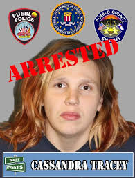 Cassandra Tracey's Instagram, Twitter & Facebook