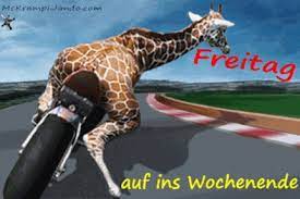 40 animierte bilder reichen für das ganze jahr. Freitag Mckrampi 100 Free