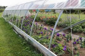 Gordy's gift and garden in duluth, mn offers a variety of your favorite annual and perennial flowers, shrubs, trees, garden plants, veggies, herbs, ornamental trees and so much more. Shubat S Fruits Localharvest
