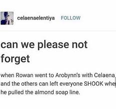 Pin By Emma Schemerhorn On Sarah J Maas Throne Of Glass Books Throne Of Glass Quotes Throne Of Glass