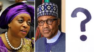 Tinubu ministerial nominees: Meet Dr Jamila Bio Ibrahim and Ayodele  Olawande Nigeria ministers of youth