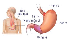 We did not find results for: Viem Hang Vá»‹ Dáº¡ Day Nguyen Nhan Va Cach Ä'iá»u Trá»‹ Chi Tiáº¿t Tin Tá»©c Ubnd Tá»‰nh Báº¯c Giang