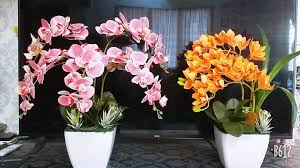 Tak ingat dulu aku gubah bunga acaner. Assalamualaikum Wrt Wbt B M C Belanja Murah Collection Facebook