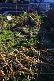 Sitzplatz im garten mit mulch. Warum Ihr Euren Garten Immer Mulchen Solltet Haus Und Beet