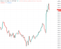 The ceo of tesla, elon musk, has just changed his twitter bio by removing the mention of dogecoin and inserting bitcoin. Elon Musk Twitter Bio Change Pumps Bitcoin