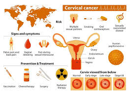 Precancerous cervical cell changes and early cancers of the cervix generally do not cause. Cervical Cancer Symptoms 10 Warning Signs Of Cervical Cancer