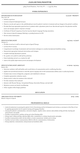 Speech Pathologist Resume Sample Mintresume