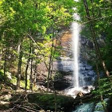 Check spelling or type a new query. Jones Gap State Park Jonesgapsp Twitter