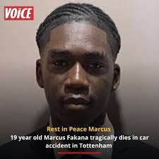 temi majekodunmi (🇬🇭)🇳🇬 (@temimajekodunmi)