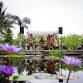Music in the Garden