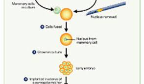 Transgenic organisms are organisms whose genetic material has been changed by the addition of foreign genes. Online Textbook And Video Annenberg Learner