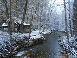 Cabin rental rates start at around $70 per night. Outside Of Cabin Picture Of Kumbrabow State Forest Huttonsville Tripadvisor