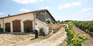 Bar, brasserie dans charmant petit village de soings en sologne. Wine Tasting Vineyards In France Julien Courtois Loire