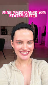 Hvad ville du indføre som statsminister?