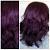 Plum Eggplant Purple Hair