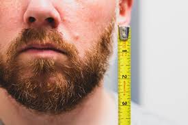 Does facial hair have a growth cycle on a womens face where it falls out and restarts how long is this life cycle. Beard Growth Stages A Guide On What To Expect
