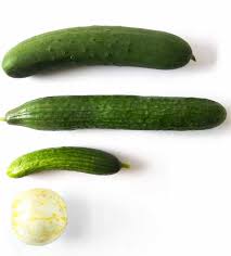 That being said, over the years i have picked up a. Why Cucumbers Are Bitter How To Fix It Ask The Food Geek