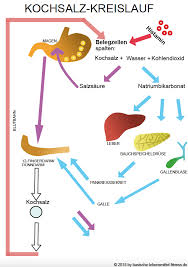 Die bakterien, welche überall vorhanden sind, bauen das histidin ab und es entsteht histamin. Histaminintoleranz Ernahrung Basisch Kann Helfen