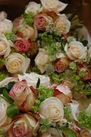 Rustic Rose Flowerona Beautiful Flowers Smelling Flowers Most Beautiful Flowers