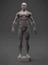 My scenes allows you to load and save scenes you have created. Artstation Male Anatomy Sculpt 3d Asset Hector Moran Hec