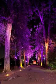 parc de l orangerie promenades nocturnes l acte lumiere outdoor landscape lighting landscape lighting design modern landscape lighting