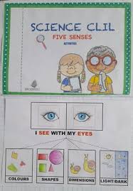 I Cinque Sensi In Inglese Scuola Primaria Archivi Jack Potato Canzoni Dell Asilo Le Idee Della Scuola Scuola