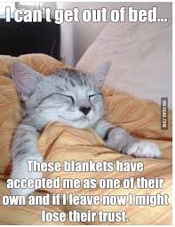 These 30 Funny Quotes Will Have You Bursting Into Laughter Come See Funny Animal Jokes Funny Cat Memes Animal Jokes