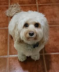 Lynn Mazza Gross (@mazgross80) • Instagram photos and videos