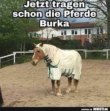 Jetzt Tragen Schon Die Pferde Burka Lustige Bilder Spruche Witze Echt Lustig