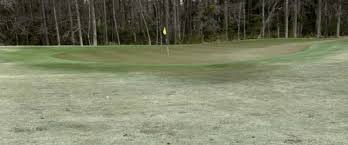 Course Review: Tobacco Road