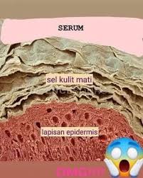 Pengangkutan oksigen dalam badan manusia. Hai Asma Azraai Ind Beauty Consultant Mary Kay Facebook