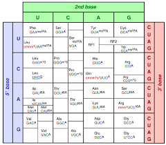 Cte Online Resources Amino Acid Chart