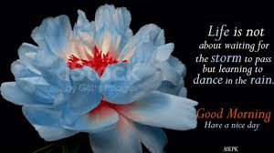 Pelaksanaan dilakukan secara daring menggunakan zoom. Good Morning Video Beautiful Whatsapp Goodmorningstatus Goodmorningvideo 2021 Garden Kanyewest Youtube