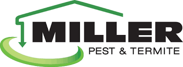 Blue chip provides safe and effective pest control services to st. Pest Control Exterminators In Blue Springs Mo Miller Termite Pest