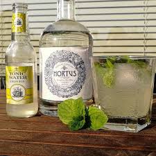 ebenfalls bei lidl gab es den hortus london dry gin mit minze und ginger beer passte er sehr gut leckerer drink disclaimer werbung ginger beer dry gin gin