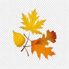 Maybe you would like to learn more about one of these? Thanksgiving Symbol Thanksgiving Leaves Watercolor Leaves Leaf Maple Leaf Png Pngwing