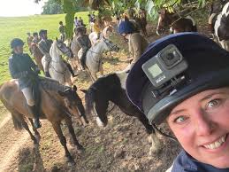 A lovely morning exercising the hounds . Great to take both boys out.  Boreas expertly ridden by Viv Foord , accompanied by Elspeth Appleby and  Gemma Green .