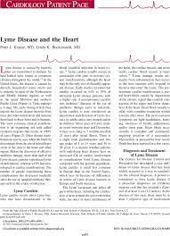 Lyme Disease And The Heart Circulation