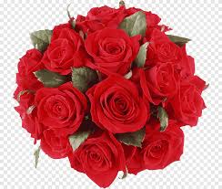 9 photos · curated by kim smith. Flower Bouquet Birthday Cake Gift Red Roses Bouquet Red Rose Bouquet Flower Arranging Floribunda Png Pngegg