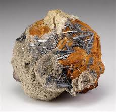 Image result for Rutidea