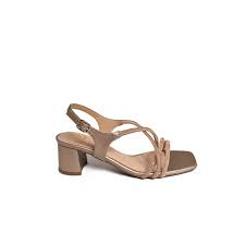 Image result for Zaleya