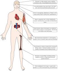 There are about 700 named skeletal muscles in the human body, including roughly 400 that no one cares about except specialists. The Human Body In Space Distinguishing Fact From Fiction Science In The News