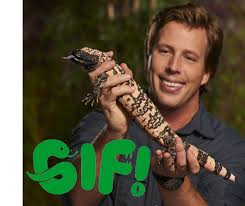 Freek vonk vertelt over zijn haaienbeet. Gif Het Uitje Van Deze Herfstvakantie Shopaholiek