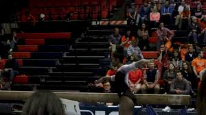 2017 Michigan State at Illinois